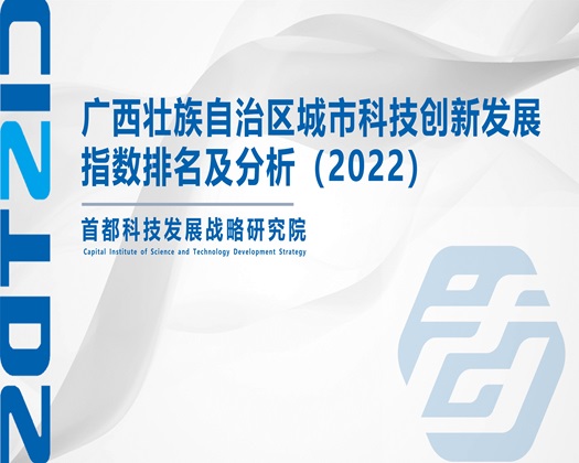 插逼网址免费看【成果发布】广西壮族自治区城市科技创新发展指数排名及分析（2022）